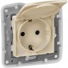 Розетка LEGRAND 2К+З IP 44 с откидной крышкой и шторками немецкий стандарт автоматические зажимы 16 А слоновая кость 672332