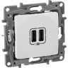 Зарядное устройство LEGRAND Etika с двумя USB-разьемами 240В/5В 2400мА белый 672294